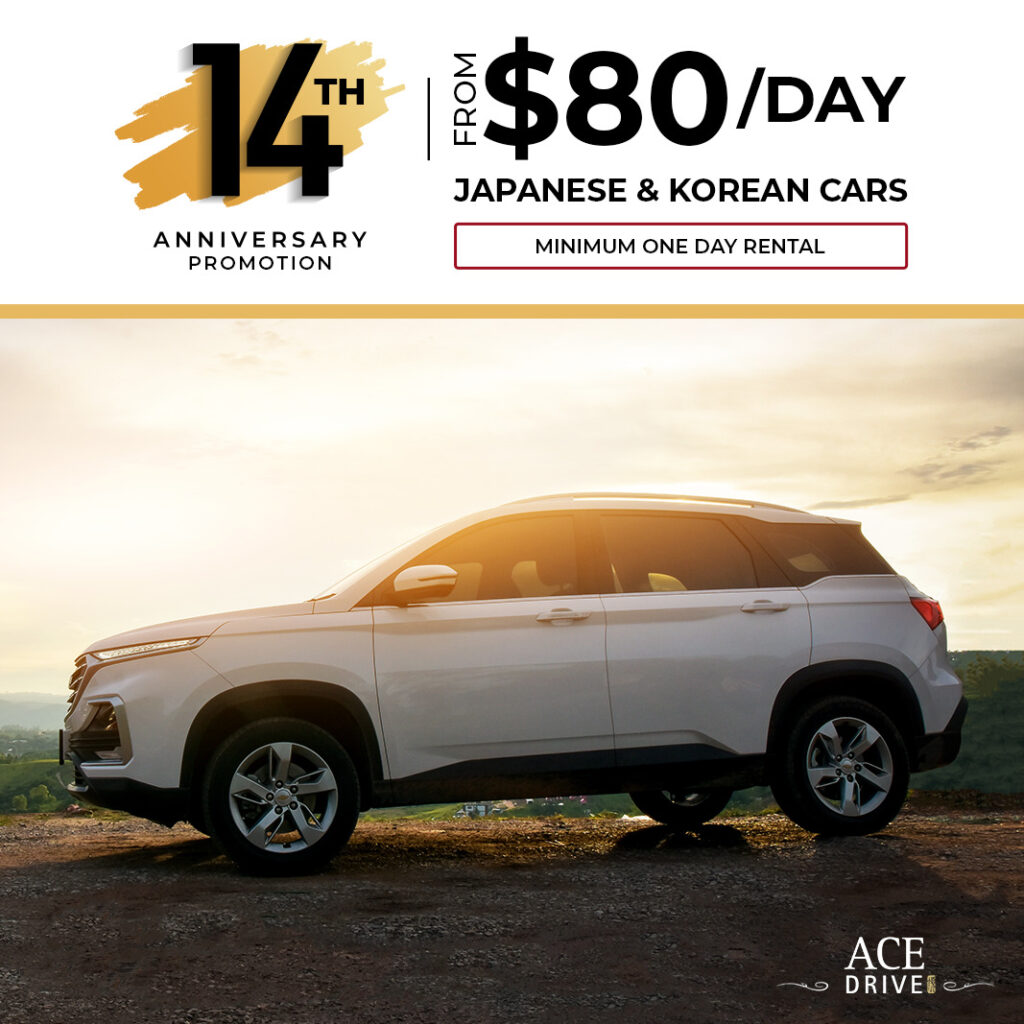 From $80 Day 14th Anniversary Promo